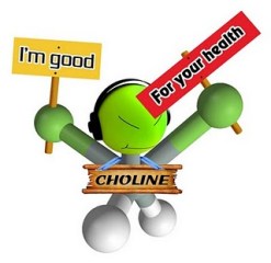 choline dude